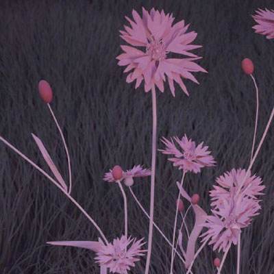 bob半岛在线登录